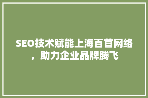 SEO技术赋能上海百首网络，助力企业品牌腾飞