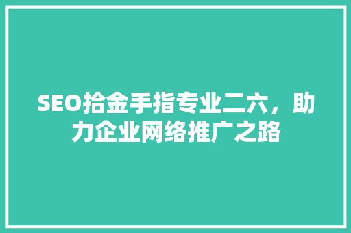 SEO拾金手指专业二六，助力企业网络推广之路