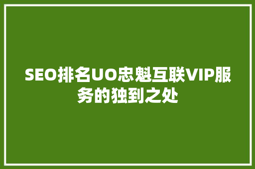 SEO排名UO忠魁互联VIP服务的独到之处