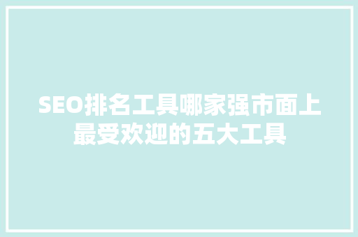 SEO排名工具哪家强市面上最受欢迎的五大工具