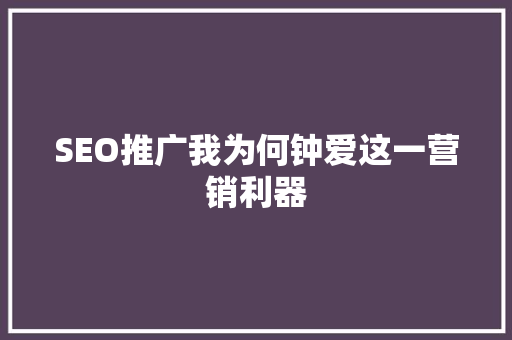 SEO推广我为何钟爱这一营销利器