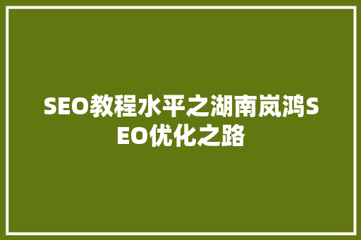 SEO教程水平之湖南岚鸿SEO优化之路