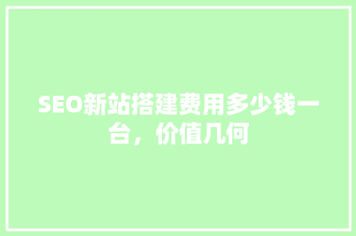 SEO新站搭建费用多少钱一台，价值几何