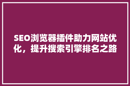 SEO浏览器插件助力网站优化，提升搜索引擎排名之路