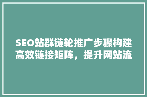 SEO站群链轮推广步骤构建高效链接矩阵，提升网站流量与排名