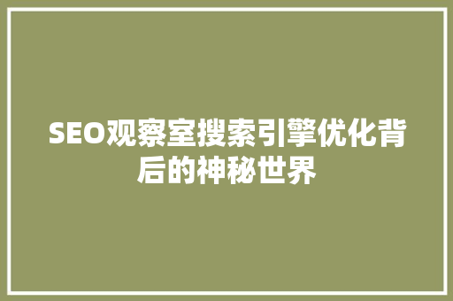 SEO观察室搜索引擎优化背后的神秘世界