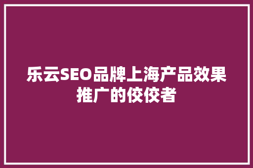 乐云SEO品牌上海产品效果推广的佼佼者