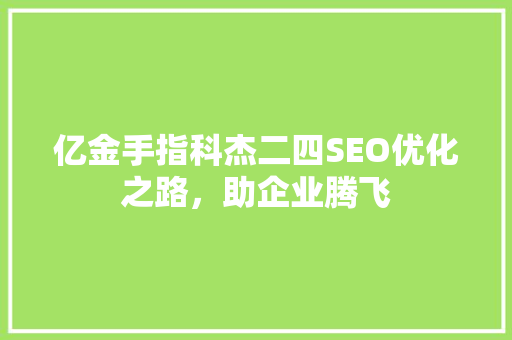 亿金手指科杰二四SEO优化之路，助企业腾飞