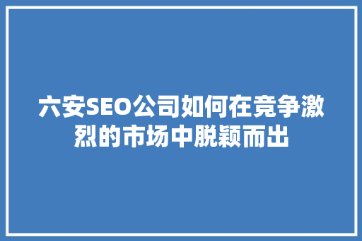 六安SEO公司如何在竞争激烈的市场中脱颖而出
