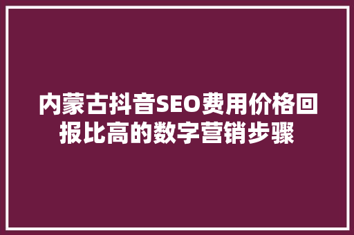 内蒙古抖音SEO费用价格回报比高的数字营销步骤