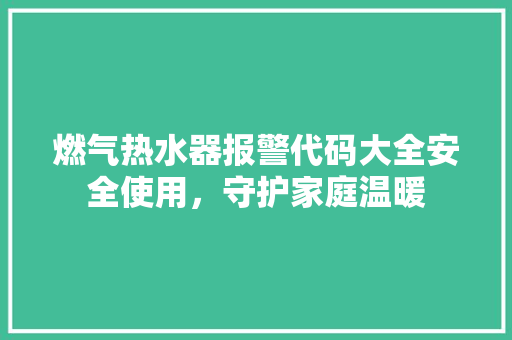 燃气热水器报警代码大全安全使用，守护家庭温暖