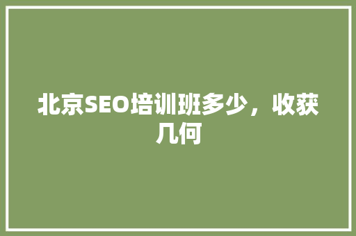 北京SEO培训班多少，收获几何