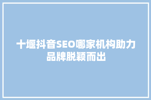 十堰抖音SEO哪家机构助力品牌脱颖而出