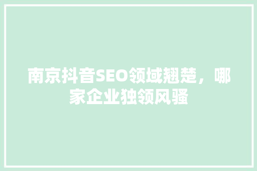 南京抖音SEO领域翘楚，哪家企业独领风骚