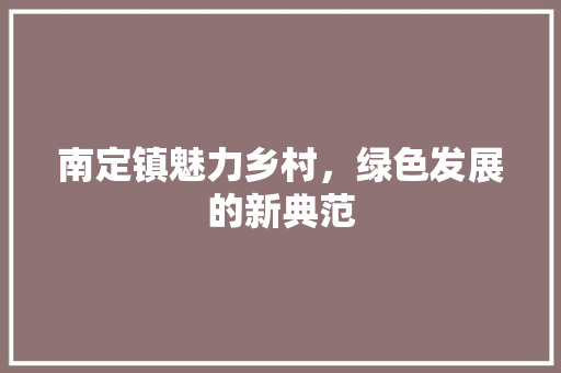 南定镇魅力乡村，绿色发展的新典范