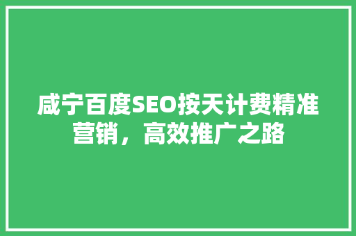 咸宁百度SEO按天计费精准营销，高效推广之路