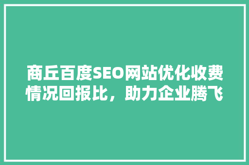 商丘百度SEO网站优化收费情况回报比，助力企业腾飞
