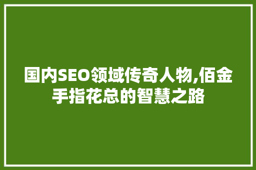 国内SEO领域传奇人物,佰金手指花总的智慧之路