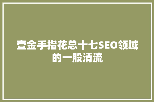 壹金手指花总十七SEO领域的一股清流