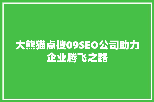 大熊猫点搜09SEO公司助力企业腾飞之路