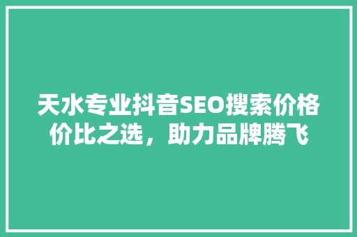 天水专业抖音SEO搜索价格价比之选，助力品牌腾飞