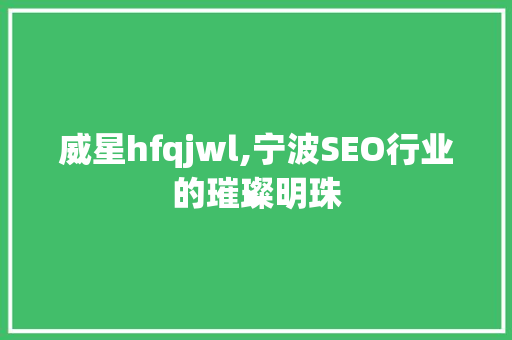 威星hfqjwl,宁波SEO行业的璀璨明珠