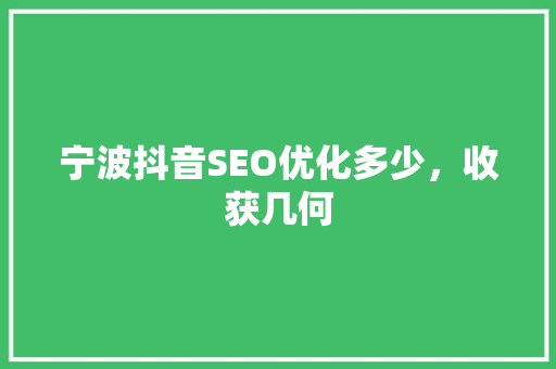 宁波抖音SEO优化多少，收获几何