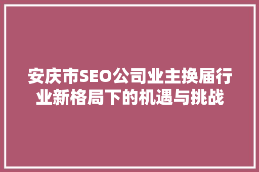 安庆市SEO公司业主换届行业新格局下的机遇与挑战