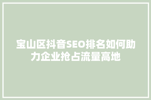 宝山区抖音SEO排名如何助力企业抢占流量高地
