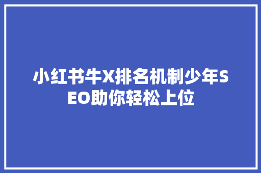 小红书牛X排名机制少年SEO助你轻松上位