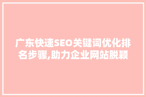 广东快速SEO关键词优化排名步骤,助力企业网站脱颖而出