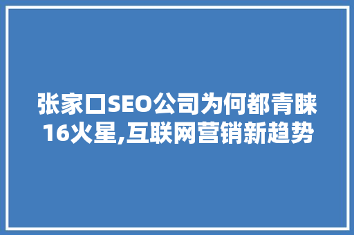 张家口SEO公司为何都青睐16火星,互联网营销新趋势