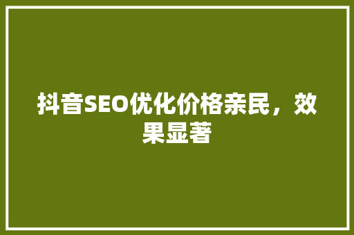抖音SEO优化价格亲民，效果显著