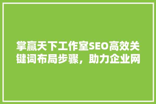 掌赢天下工作室SEO高效关键词布局步骤，助力企业网站优化
