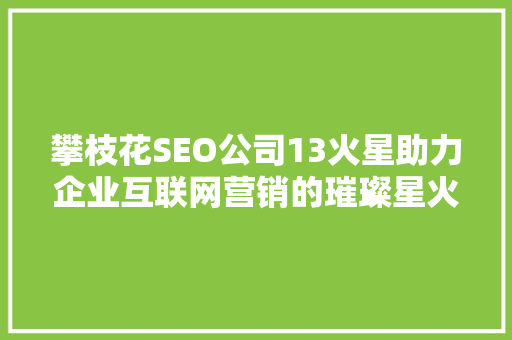 攀枝花SEO公司13火星助力企业互联网营销的璀璨星火