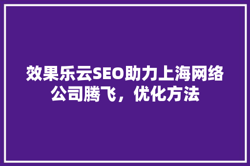效果乐云SEO助力上海网络公司腾飞，优化方法