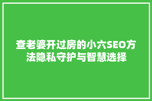 查老婆开过房的小六SEO方法隐私守护与智慧选择