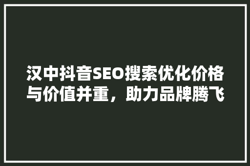 汉中抖音SEO搜索优化价格与价值并重，助力品牌腾飞