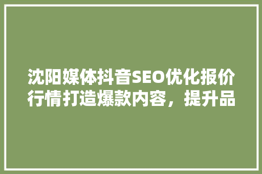 沈阳媒体抖音SEO优化报价行情打造爆款内容，提升品牌影响力