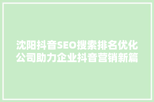 沈阳抖音SEO搜索排名优化公司助力企业抖音营销新篇章