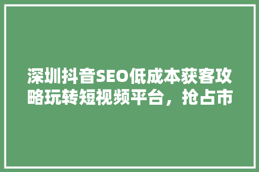 深圳抖音SEO低成本获客攻略玩转短视频平台，抢占市场先机