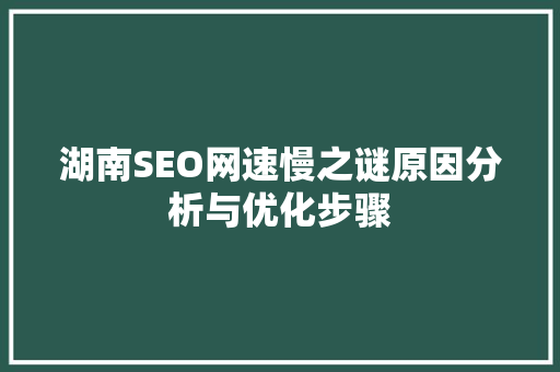 湖南SEO网速慢之谜原因分析与优化步骤