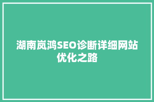 湖南岚鸿SEO诊断详细网站优化之路