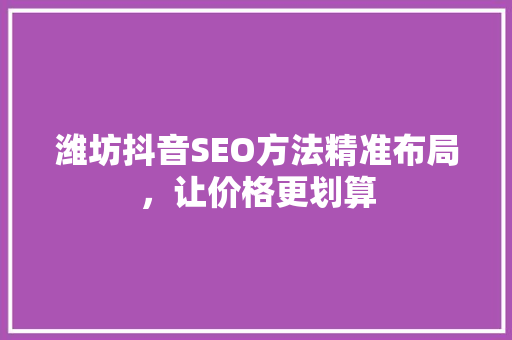 潍坊抖音SEO方法精准布局，让价格更划算