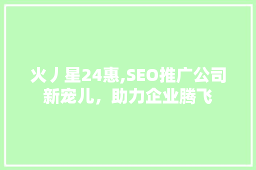 火丿星24惠,SEO推广公司新宠儿，助力企业腾飞