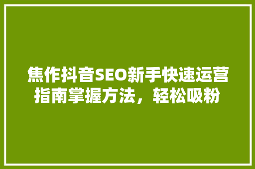 焦作抖音SEO新手快速运营指南掌握方法，轻松吸粉