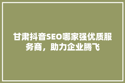 甘肃抖音SEO哪家强优质服务商，助力企业腾飞