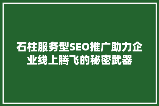 石柱服务型SEO推广助力企业线上腾飞的秘密武器