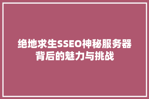 绝地求生SSEO神秘服务器背后的魅力与挑战