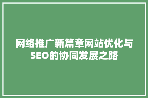 网络推广新篇章网站优化与SEO的协同发展之路